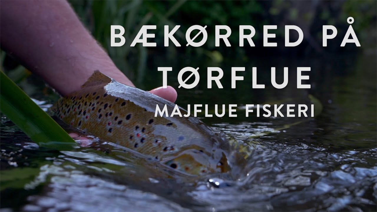 Tørfluefiskeri