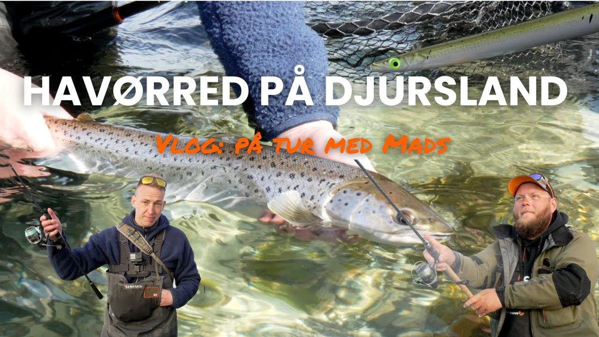 Torsdagsturen: Forårsfiskeri på Djursland med Mads