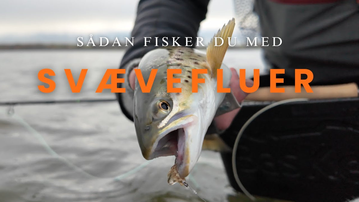 Fisketeknik: Svævefluer og svævende agn til havørred på kysten
