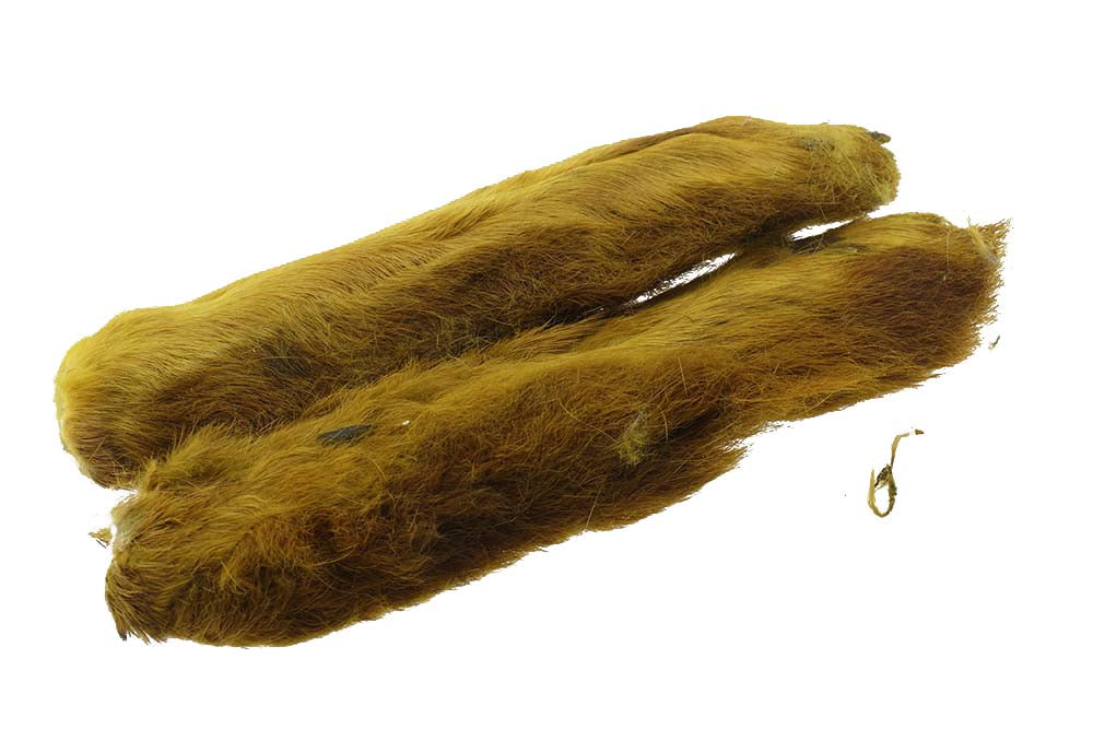 Snowshoe Rabbit Foot
