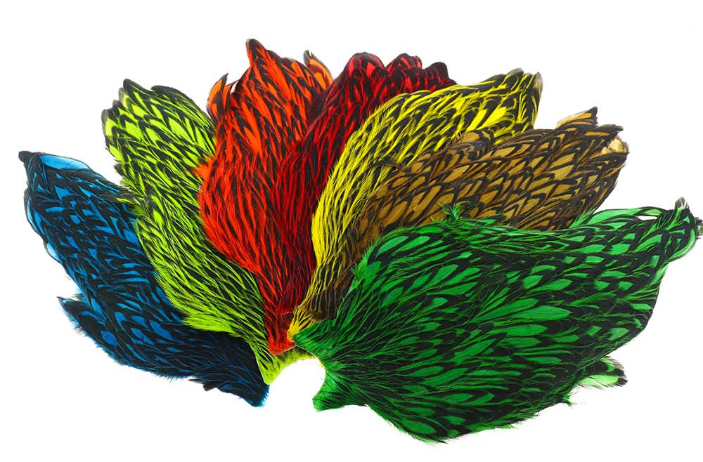 Whiting American Black Laced 