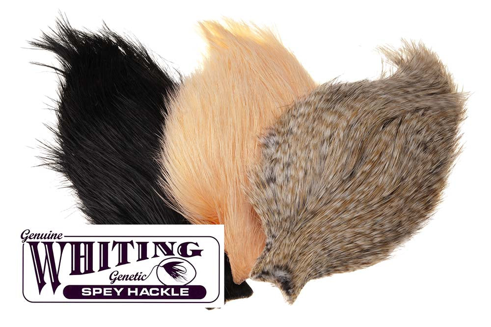 Whiting Spey 