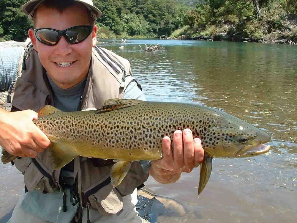 (Pro Grade) Whiting Red Label Dryfly - White