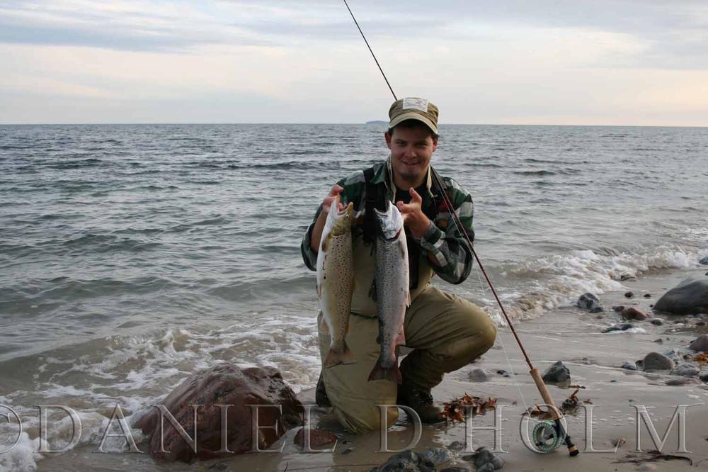 (Silver Grade) Whiting Spey Rooster - Black