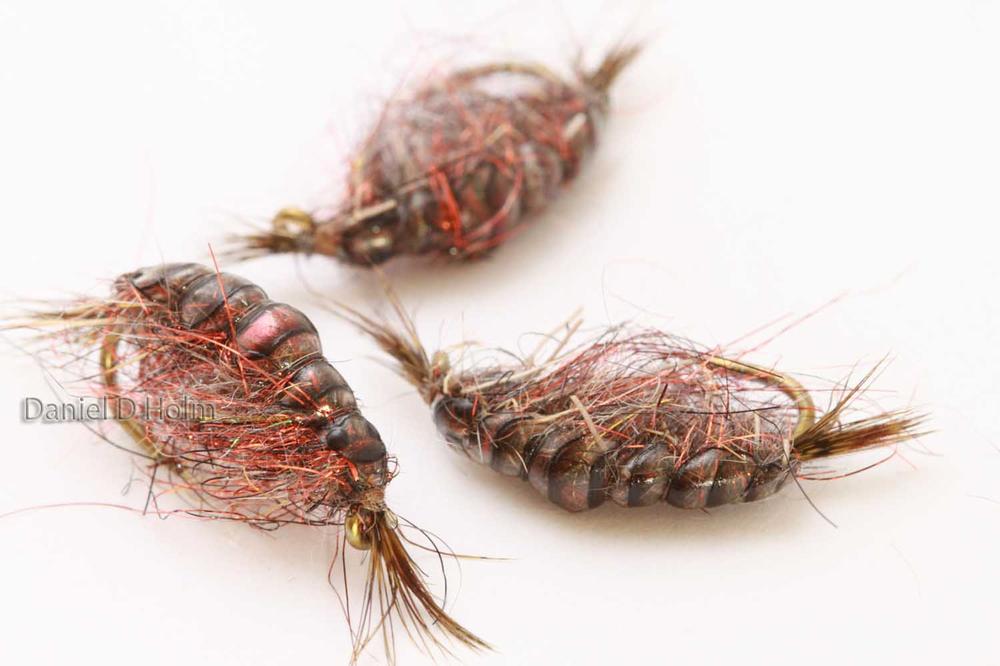Pro Gammarus skjold - Pink