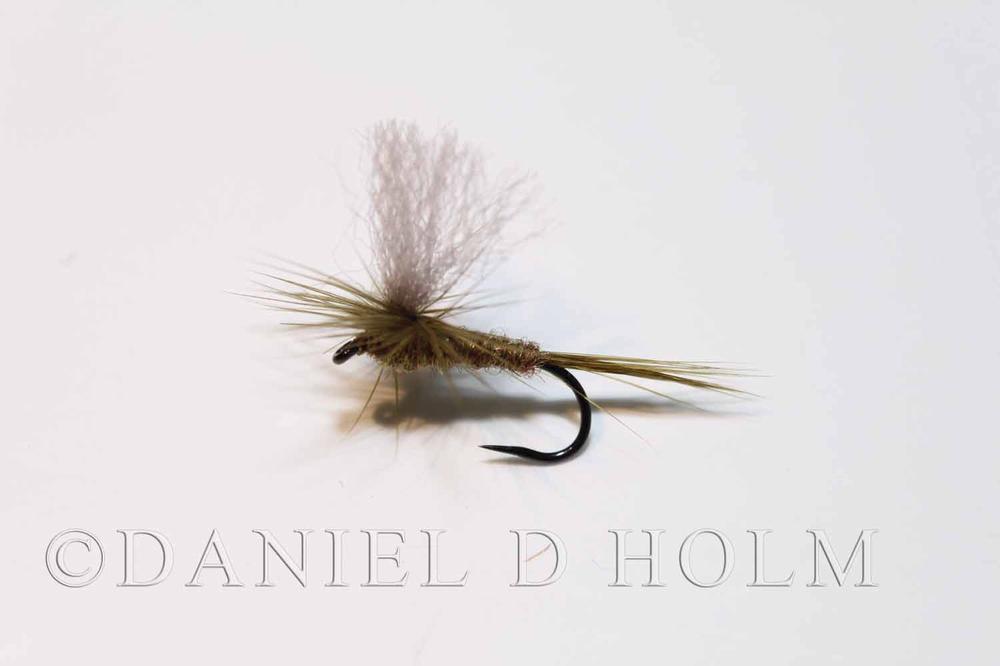 Fly-Rite - Caddis Pupa Green (Nr 40)