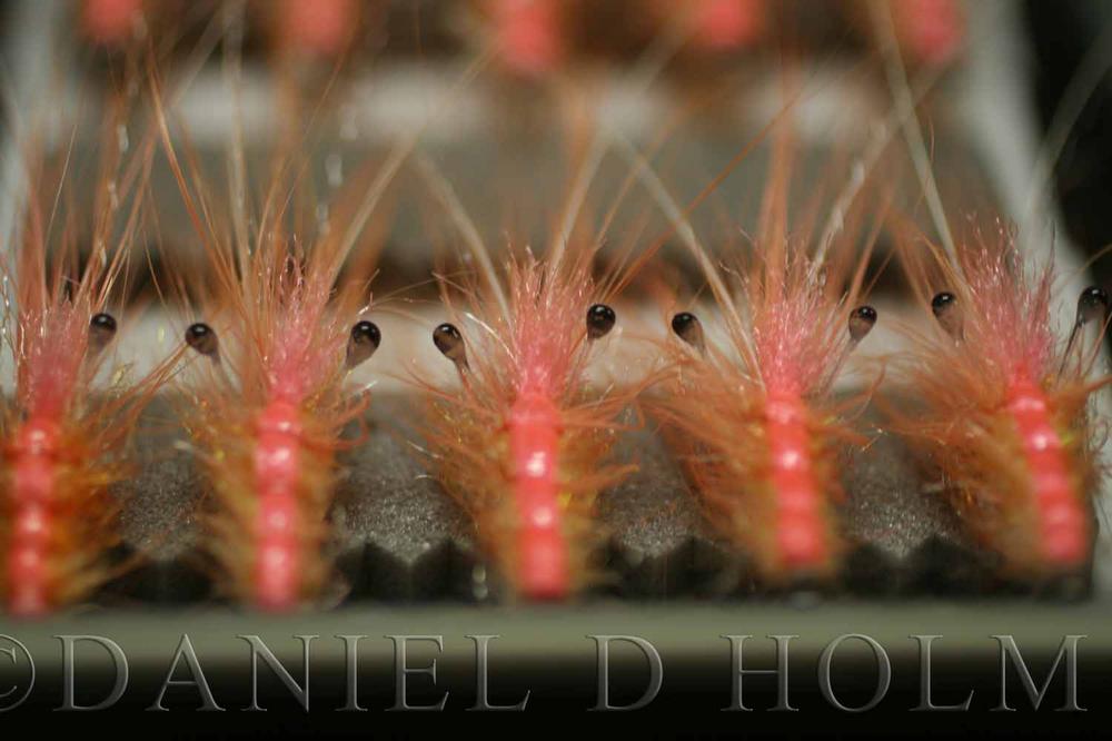 Whiting Coq de leon Cape - Badger Purple