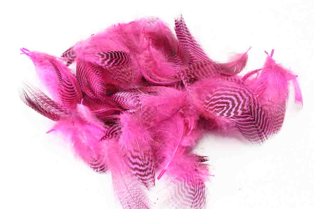 Teal Flank Feathers - Fl. Pink