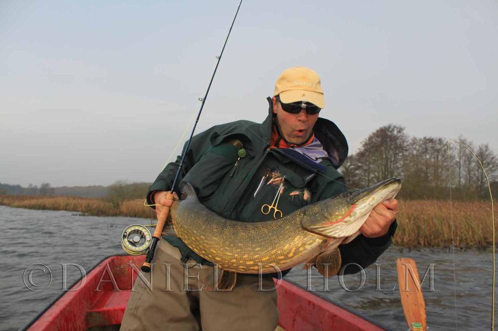 AHREX PR351 Hooks - Light Predator BL 