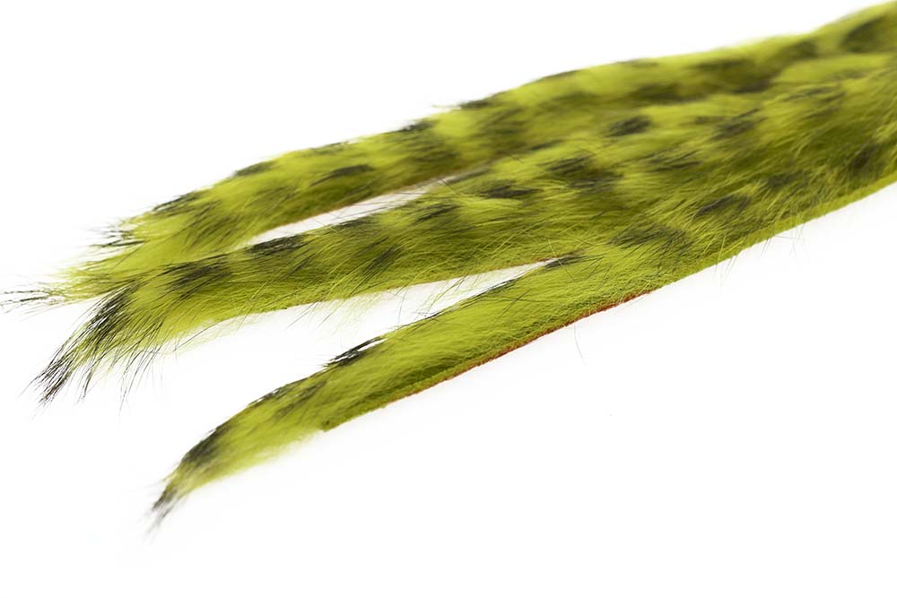 3 mm Rabbit Barred Zonkerstrip - Olive