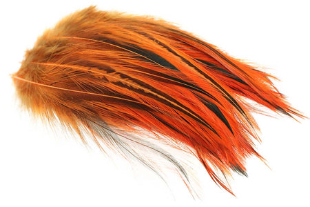 Du tilføjede <b><u>Hane Hackler Badger - Fl. Orange</u></b> til kurven.