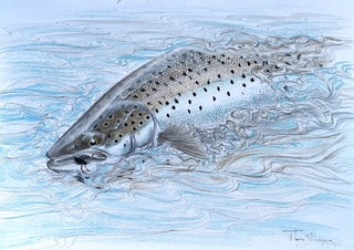Du tilføjede <b><u>Thomas Weiergang original A3 - Foam Beetle Seatrout A3</u></b> til kurven.