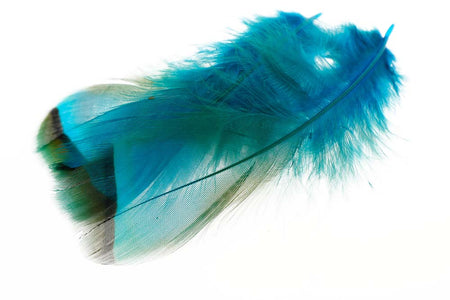 Du tilføjede <b><u>French Partridge - Kingfisher Blue</u></b> til kurven.
