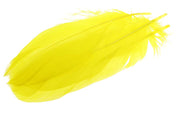 Gås skulderfjer - Yellow