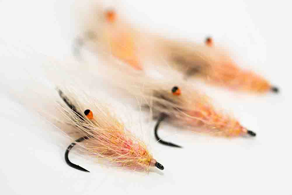 Pattegrisen (FL)