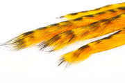 3 mm Rabbit Barred Zonkerstrip - Fl.Orange