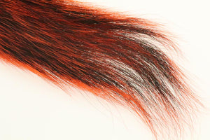 Silver Tip Squirrel Tail  - Orange