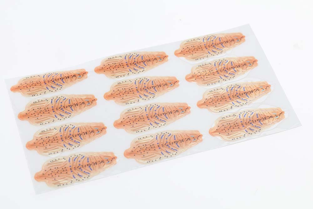 Flyco Shrimp shells - Peach