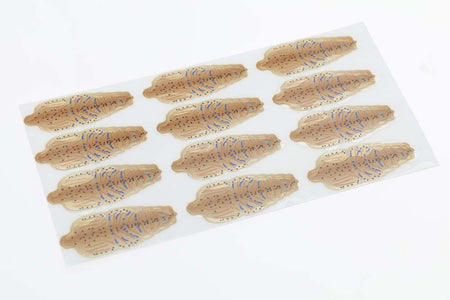 Du tilføjede <b><u>Flyco Shrimp shells - Tan</u></b> til kurven.