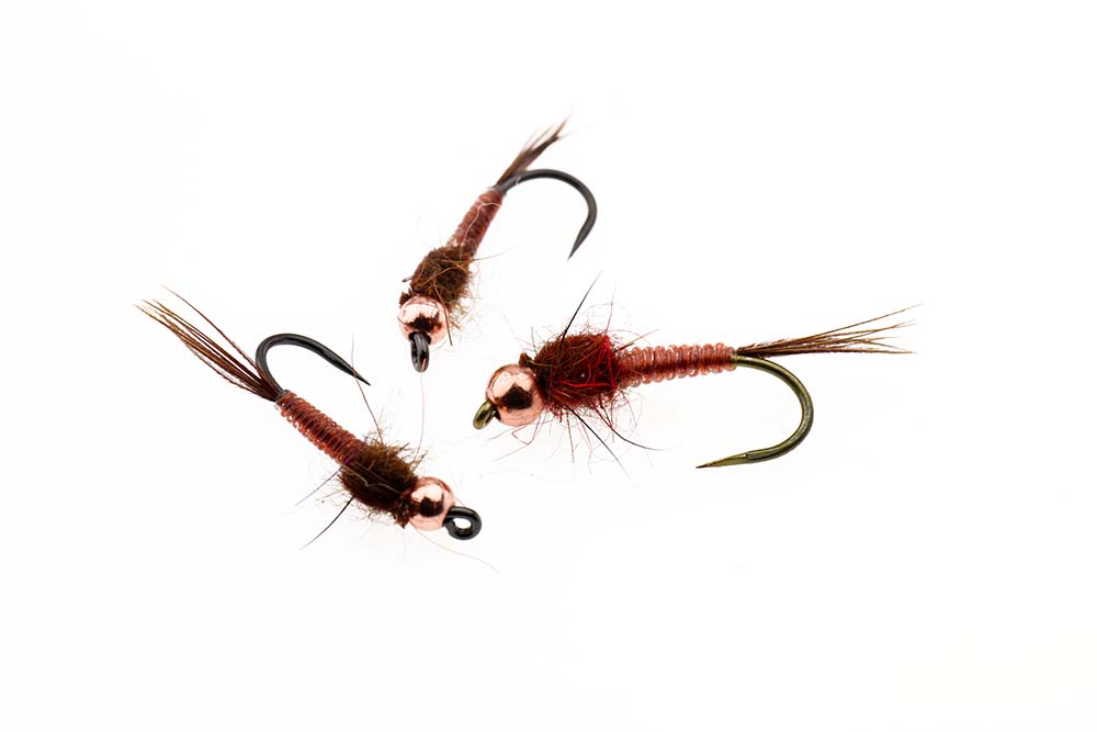 Shiny Nymfe (Johns)
