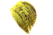 Hane Hackler Grizzly - Yellow