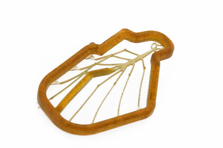 Du tilføjede <b><u>Easy Shrimp Legs 2.0: rejeben - Transparent Dirty Brown</u></b> til kurven.