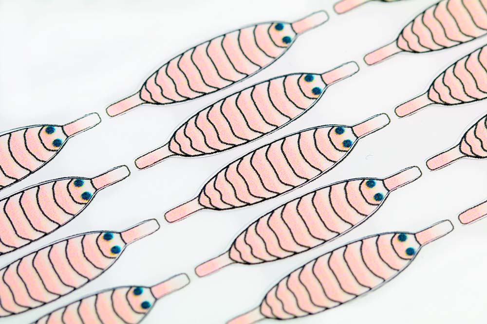 Pro Gammarus skjold - Shell Pink