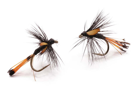Du tilføjede <b><u>Black Pennel Jungle Cock</u></b> til kurven.