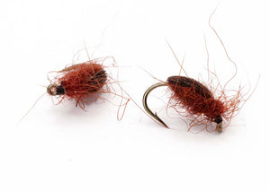 Bugsvømmer