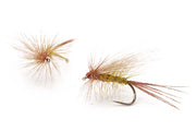 Olive caddis