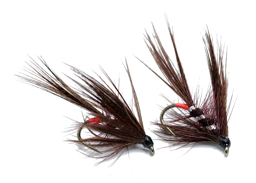 Mallard wetfly