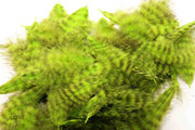 Grizzly Marabou - Chartreuse