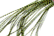Selected Flatwing/dryfly Feather - Grizzly Olive