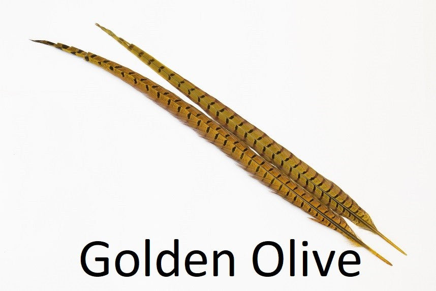 Ringneck Pheasant tail 1 Pair - Golden Olive