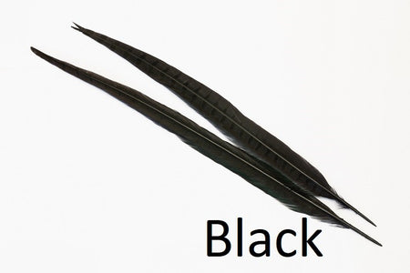 Du tilføjede <b><u>Ringneck Pheasant tail 1 Pair - Black</u></b> til kurven.