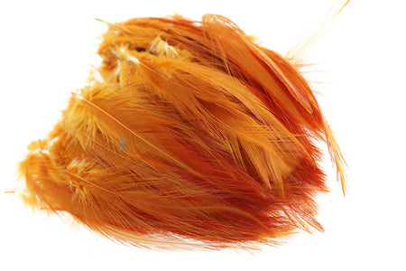 Du tilføjede <b><u>Hane Hackler - Ginger</u></b> til kurven.