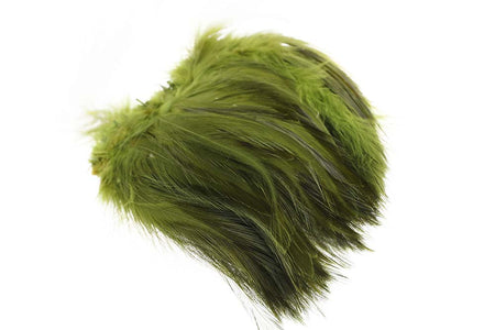 Du tilføjede <b><u>Hane Hackler - Olive</u></b> til kurven.