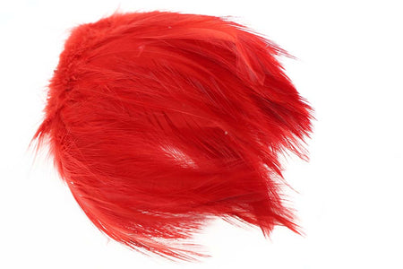 Du tilføjede <b><u>Hane Hackler - Red</u></b> til kurven.