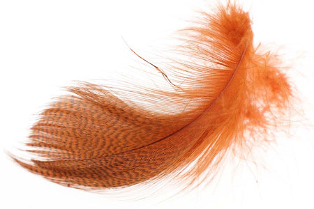 Du tilføjede <b><u>Mallard Barred Flank - Burnt Orange</u></b> til kurven.
