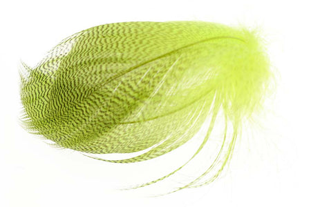 Du tilføjede <b><u>Mallard Barred Flank - Fl. Yellow</u></b> til kurven.