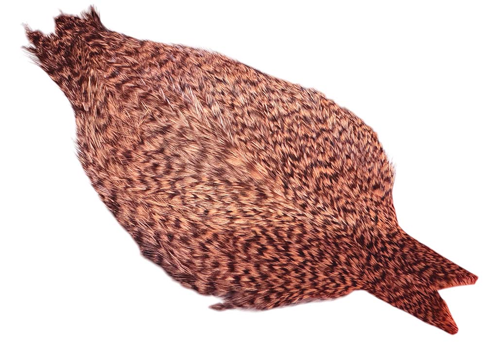Whiting Coq De Leon - Grizzly dyed Salmon