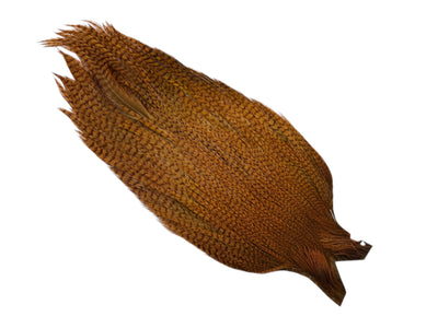 Du tilføjede <b><u>Ewing #1 Grizzly Cape Brownish Olive</u></b> til kurven.