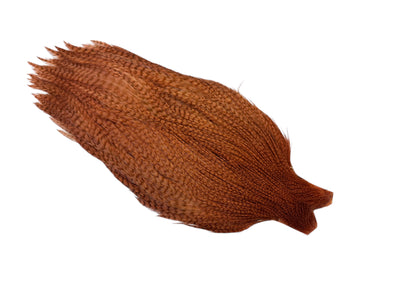 Du tilføjede <b><u>Ewing #1 Grizzly Cape Bleached Dyed Tan</u></b> til kurven.