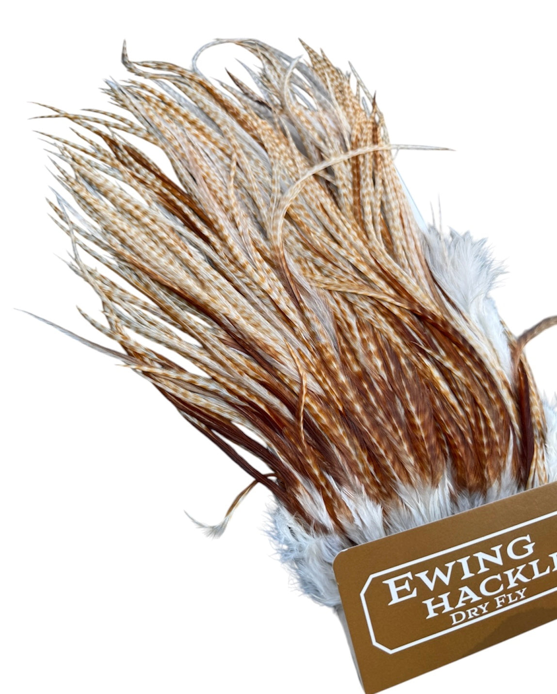 Ewing Special #1 unique Sadel - Ghost barred Ginger