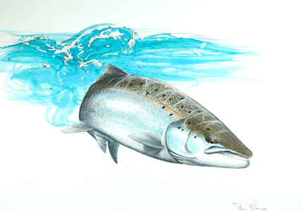 Du tilføjede <b><u>Thomas Weiergang original A3 - Salmon Study A3</u></b> til kurven.