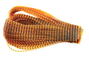 Sili Legs NYMPH - Barred Pumpkin 