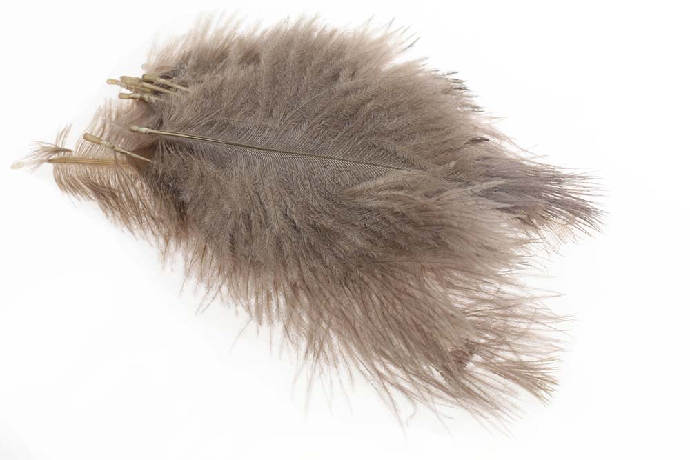 Micro Ostrich Spey Plumes - Medium Dun