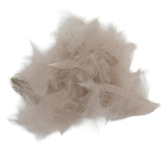 Du tilføjede <b><u>Swiss CDC Standard - Glicine 06</u></b> til kurven.
