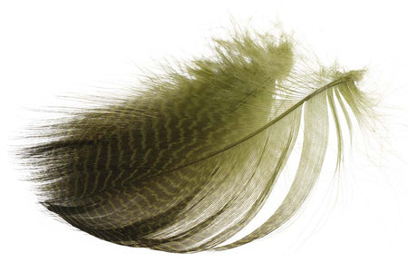Du tilføjede <b><u>Teal Flank Feathers - Olive</u></b> til kurven.