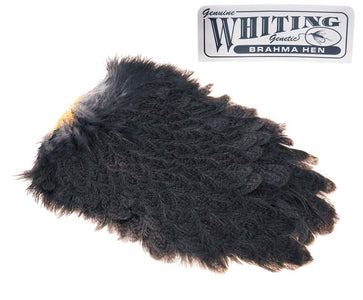 Du tilføjede <b><u>Whiting Brahma Saddle - Mottled Dark Dun</u></b> til kurven.